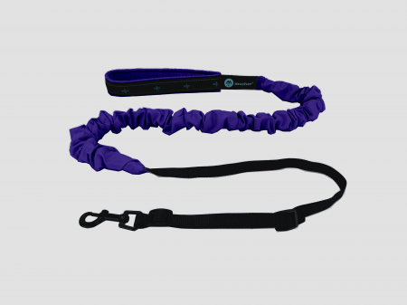 lines - Musher Freespirit Bungee Leash for Small Dogs - Lightweight & Colorful