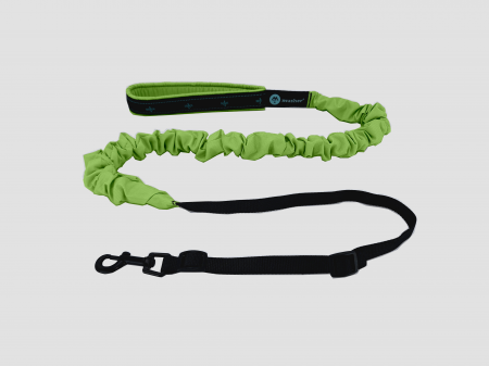 lines - Musher Freespirit Bungee Leash for Small Dogs - Lightweight & Colorful
