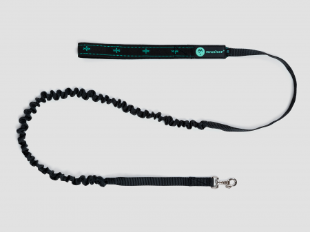 lines - Musher Koyuk bungee leash - For Small Dogs, Pulling Sports