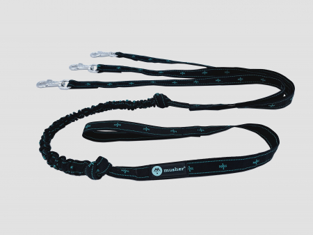 lines - Musher Koyuk Bungee Leash - for 3 dogs, Canicross & Hiking