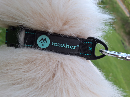 Musher Anvik Strong collar - strong, adjustable collar with metalic buckle [1]
