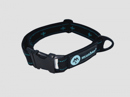 collars - Musher Anvik Strong collar - strong, adjustable collar with metalic buckle