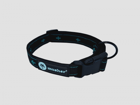 collars - Freespirit collar - adjustable collar with buckle for active dogs