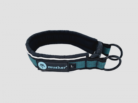 collars - Pawtrail Rubbit collar - comfortable, padded collar with buckle