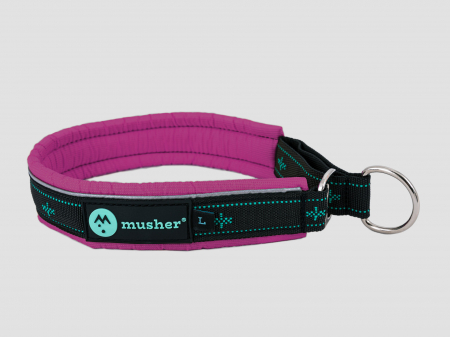 collars - Takotna half-choke collar - for trainings, controll, walks