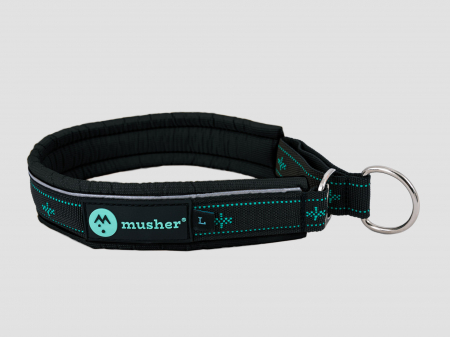 collars - Takotna half-choke collar - for trainings, controll, walks