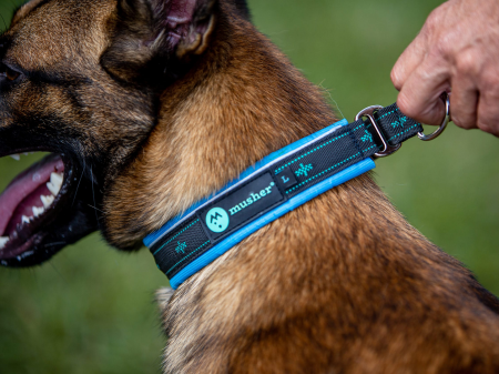 Takotna half-choke collar - for trainings, controll, walks [1]