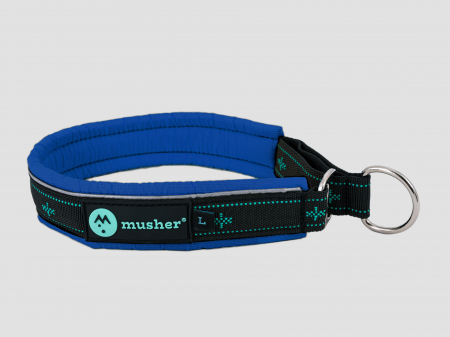 collars - Takotna half-choke collar - for trainings, controll, walks