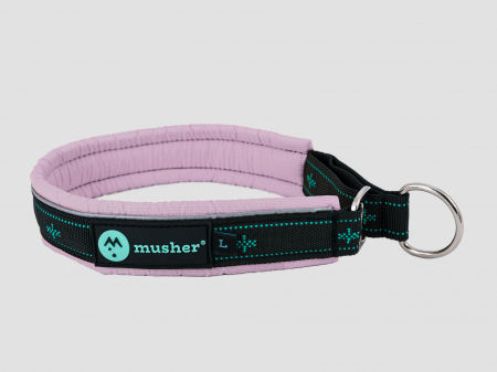 collars - Takotna half-choke collar - for trainings, controll, walks