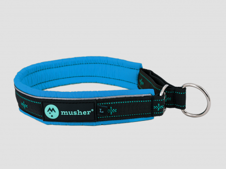 collars - Takotna half-choke collar - for trainings, controll, walks