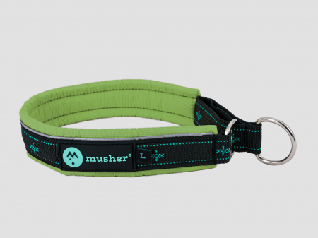 collars - Takotna half-choke collar - for trainings, controll, walks