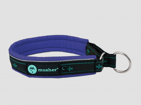 collars - Takotna half-choke collar - for trainings, controll, walks