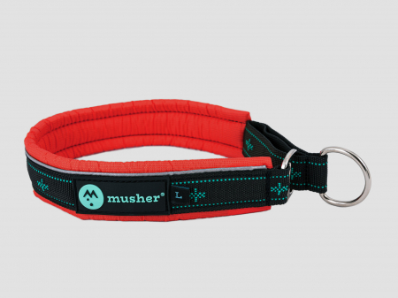 collars - Takotna half-choke collar - for trainings, controll, walks