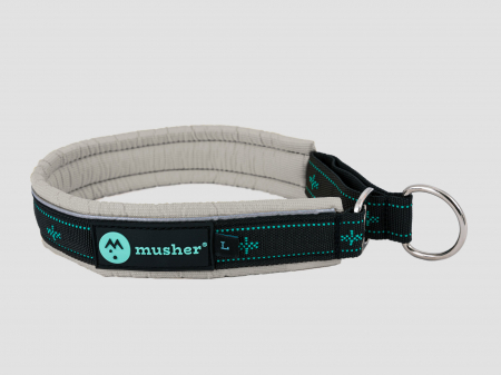 collars - Takotna half-choke collar - for trainings, controll, walks