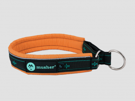 collars - Takotna half-choke collar - for trainings, controll, walks
