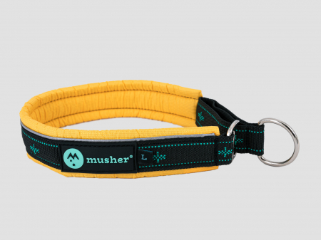 collars - Takotna half-choke collar - for trainings, controll, walks