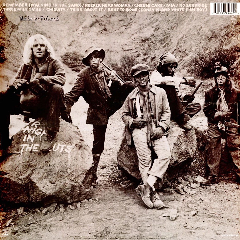 Aerosmith - Night In The Ruts [2]