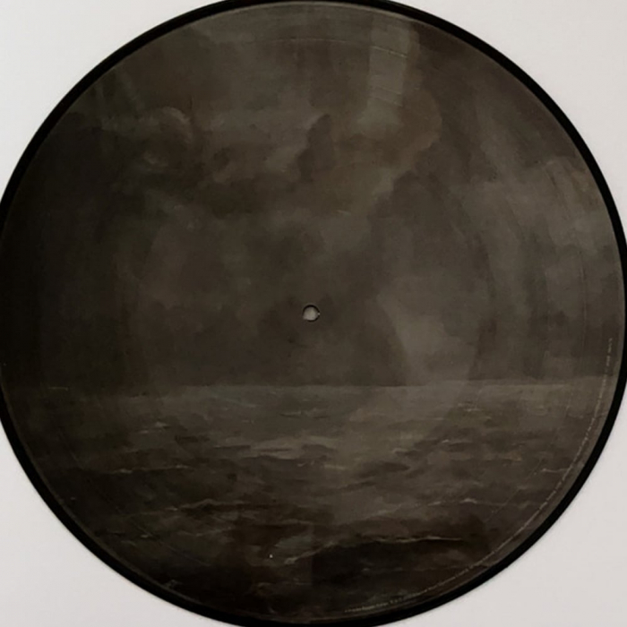 Florence + The Machine - Dance Fever (picture disc) [3]