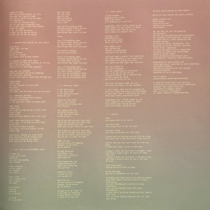 Glass Animals - Dreamland (Limited Glow in the Dark Vinyl) [6]