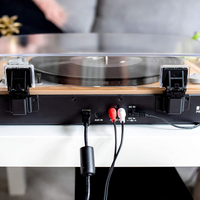 ION Audio Premier LP Natural [9]