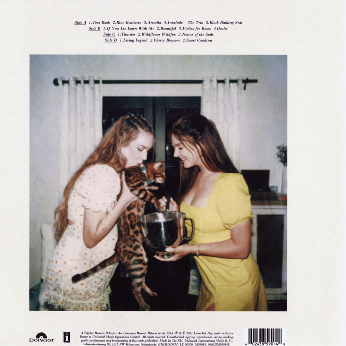 Lana Del Rey - Blue Banisters [2]