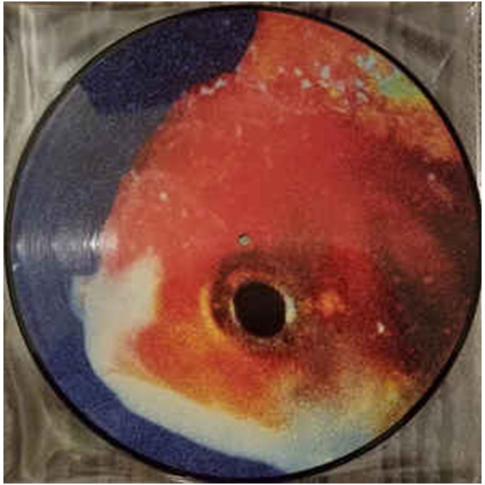 Vince Staples - Big Fish Theory (Picture Disc) [2]