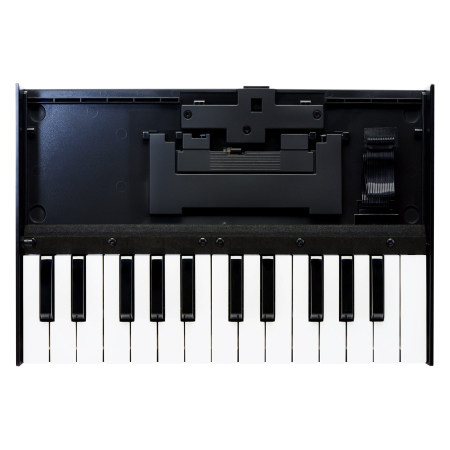 Module - Roland K-25M
