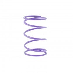 Arc variator spate violet 35kg