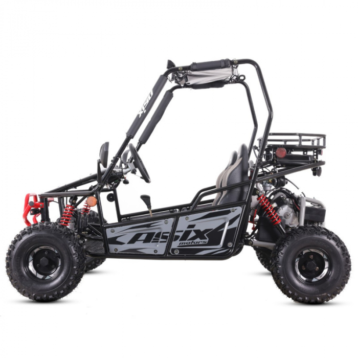 Asix Buggy 125cc, roti 7 inch, 3+1 viteze, culoare gri/negru [2]