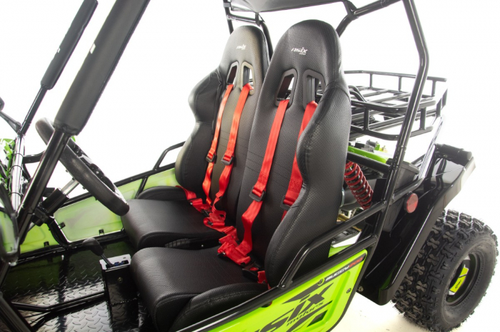 Asix Buggy 200cc, roti 8 inch, 1+1 viteze, culoare verde/negru [14]