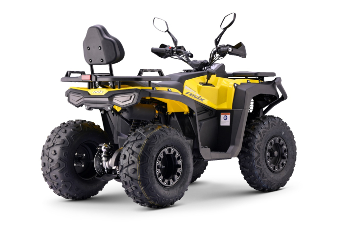 ATV Asix Gladiator 200cc, roti 10inch, 1+1 Viteze, galben-gri [7]
