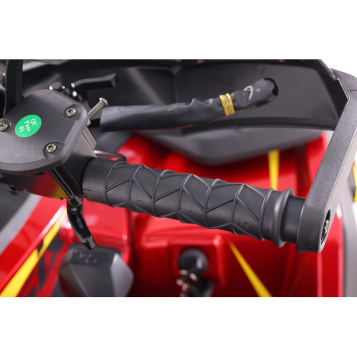 ATV Asix Tytan 200cc, roti 10 inch aluminiu, 1+1 viteze, culoare gri/negru [22]