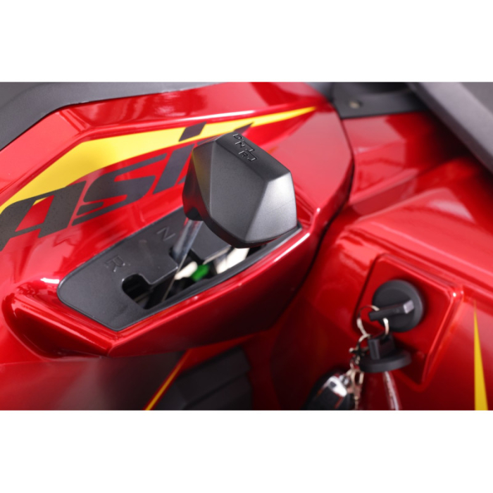 ATV Asix Tytan 200cc, roti 10 inch aluminiu, 1+1 viteze, culoare gri/negru [21]