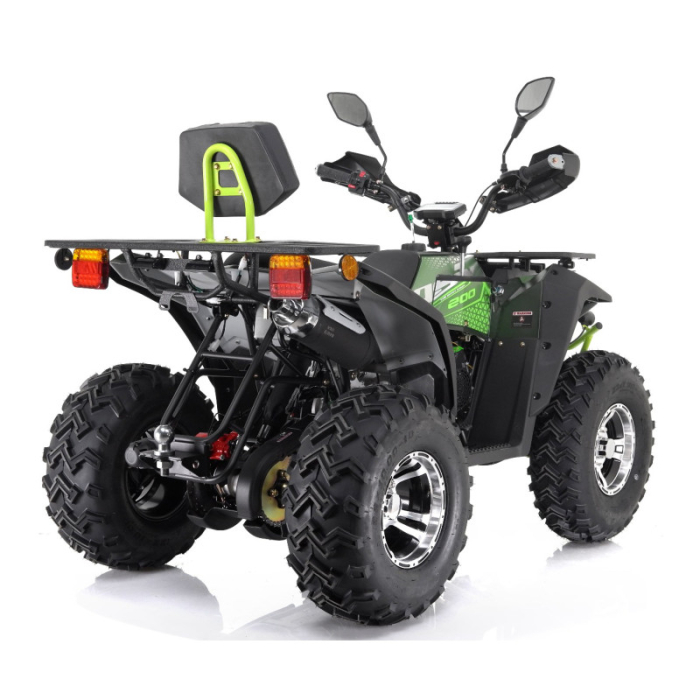 ATV Asix Magnum EEC 200cc, roti 10 inch, 1+1 viteze, inregistrabil T3B, culoare verde [3]