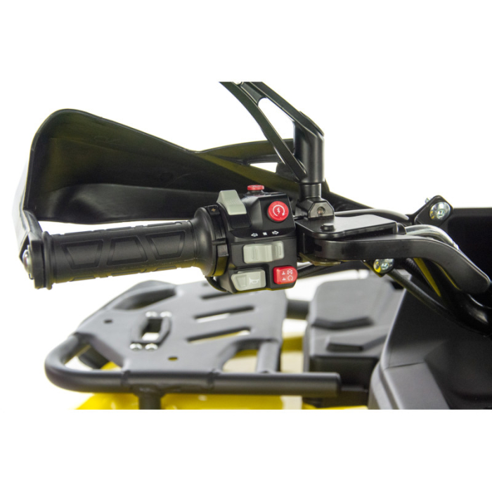 ATV Asix Gladiator RS, 200cc, roti 10 inch,1+1 viteze, injectie si racire apa, culoare galben/gri [29]