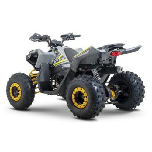 ATV Barton Terrax 125cc, 4 timpi, 3+1 viteze, roti de 8", culoare gri [4]
