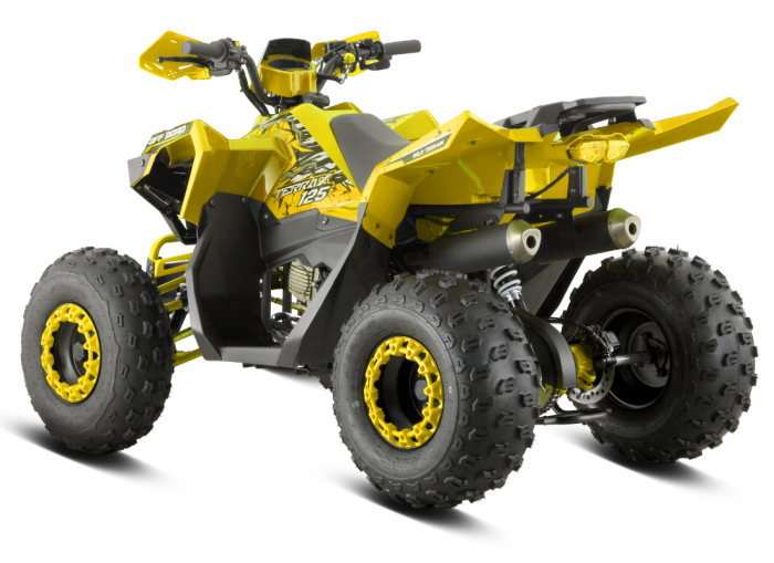 ATV Barton Terrax 125cc, 4 timpi, 3+1 viteze, roti de 8", culoare galben [5]