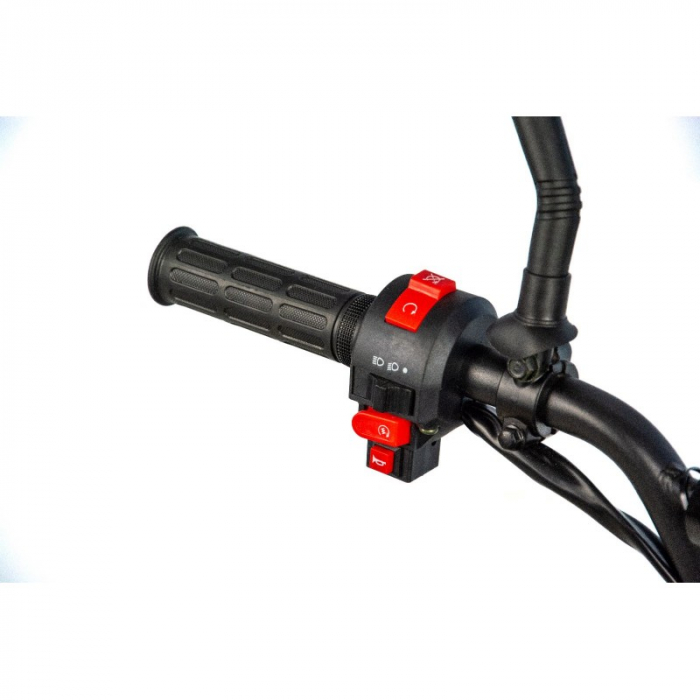 Atv copii XTR 001 big foot, roti 7 inch, 125cc, 4 timpi, 1+1, culoare negru/albastru [9]