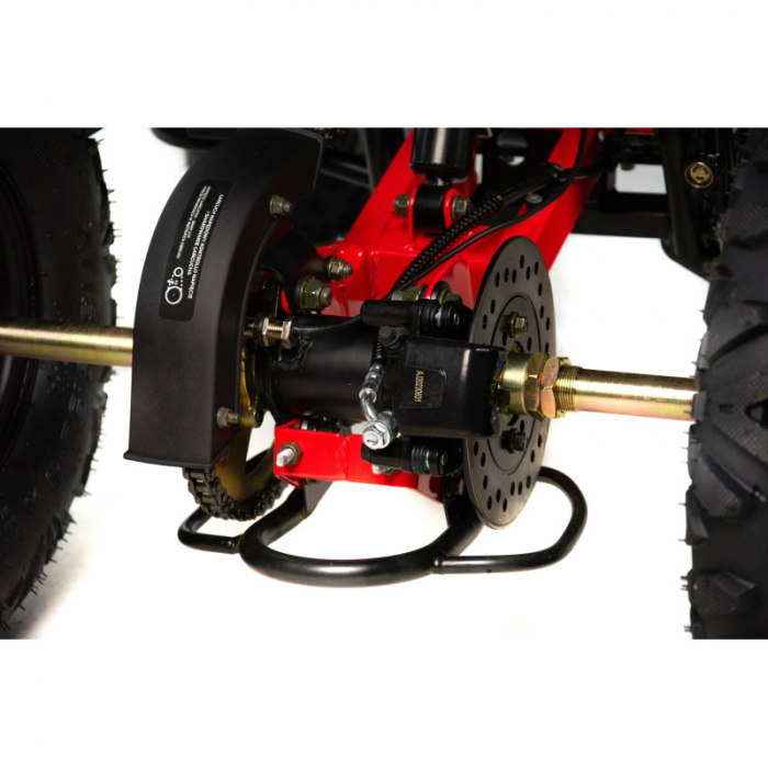 Atv copii XTR 018/8 Pro Discovery, roti 8 inch, 125cc, 4 timpi, 3+1, pornire electrica, culoare negru/albastru [10]