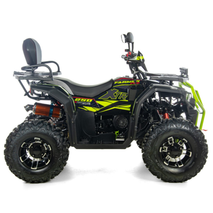 ATV XTR Pro Farmer X1 019, roti 10 inch, 250cc, 1+1 viteze, jante de aluminu, culoare negru/verde [5]