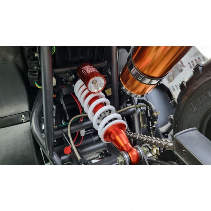 ATV XTR 012/10 PRO HUMMER, roti 10 inch, 250cc, 1+1 viteze, culoare negru/albastru [13]