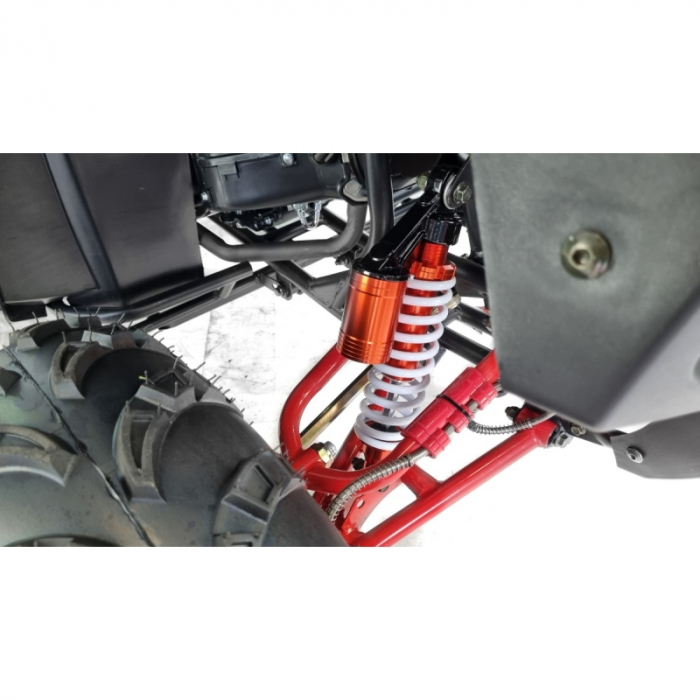 ATV XTR 012/10 PRO HUMMER, roti 10 inch, 250cc, 1+1 viteze, culoare negru/rosu [16]