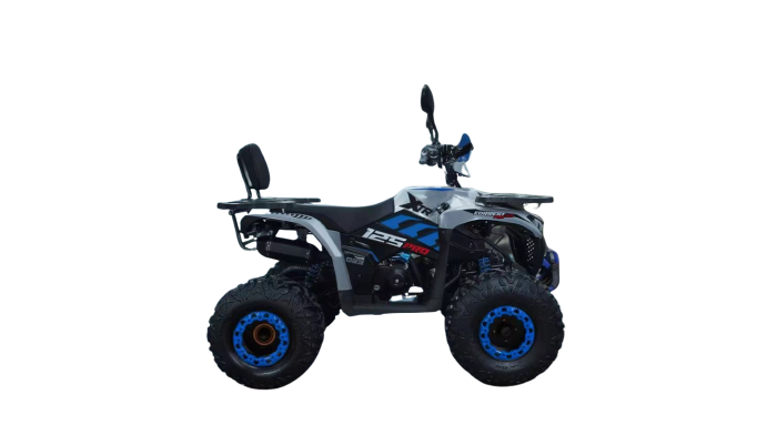 ATV XTR Pro Forest 125cc, 8 inch,  Semi-Automat 1+1, Pornire Electrica, Gri-Albastru [2]