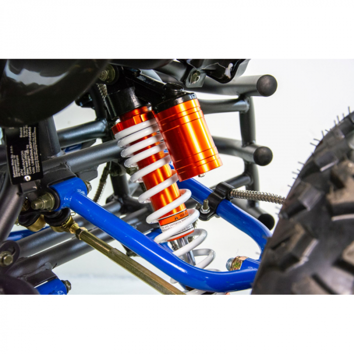 ATV XTR Pro Raptor 015, roti 10 inch, 250cc, 4+1 viteze, culoare negru/albastru [6]