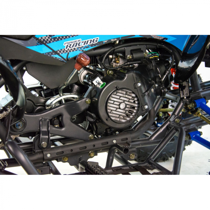 ATV XTR Pro Raptor 015, roti 10 inch, 250cc, 4+1 viteze, culoare negru/albastru [9]