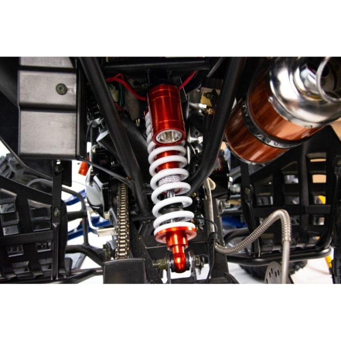 ATV XTR Pro Raptor 016, roti 8 inch,125cc, 1+1 viteze, culoare negru/lime [21]