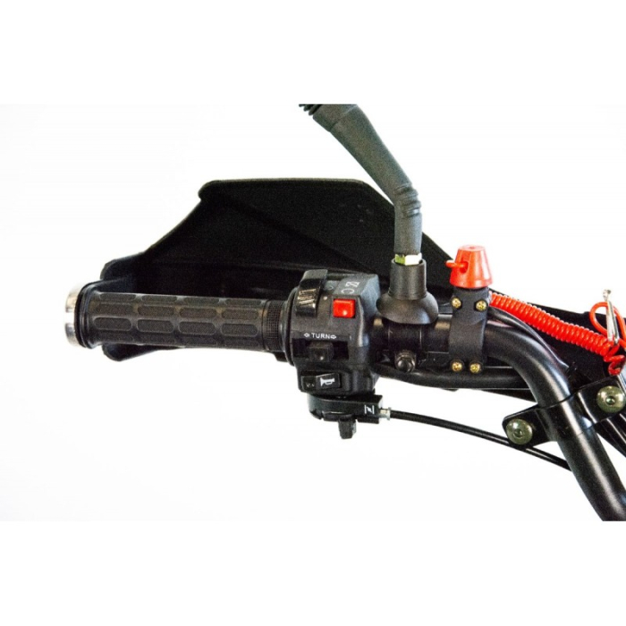 ATV XTR Pro Raptor 016, roti 8 inch,125cc, 1+1 viteze, culoare negru/lime [15]