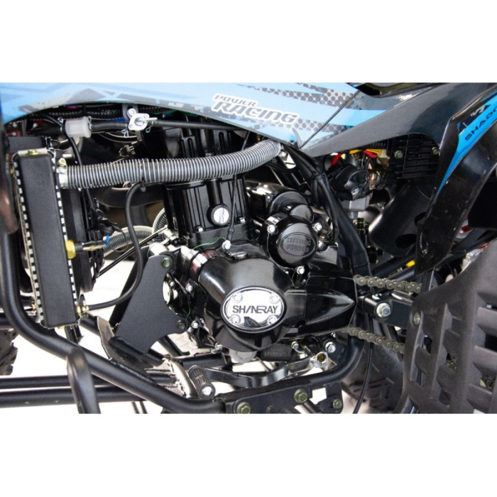 ATV XTR Pro Raptor 016, roti 8 inch,125cc, 1+1 viteze, culoare negru/lime [25]