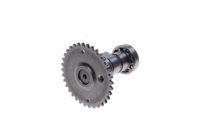 Ax came GY6-50cc [2]