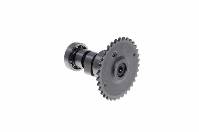 Ax cu came Gy6 4T 80ccm [2]